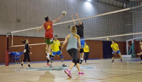 La pallavolo amatoriale: �Ragazzi e ragazze insieme per uno sport da ''comitiva''�